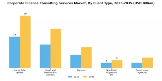 Corporate Finance Consulting Services Market Segment Image 0