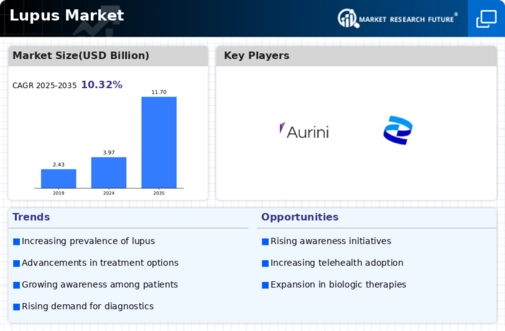 Lupus Market Infographic