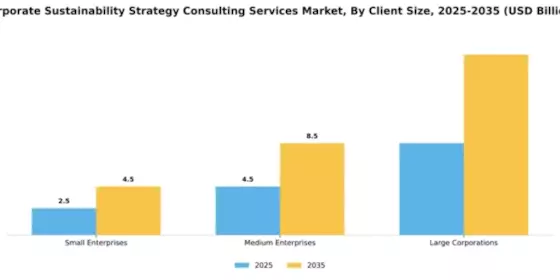 Corporate Sustainability Strategy Consulting Services Market Segment Image 0