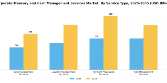 Corporate Treasury and Cash Management Services Market Segment Image 3