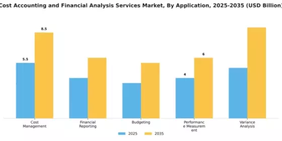 Cost Accounting and Financial Analysis Services Market Segment Image 0
