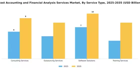 Cost Accounting and Financial Analysis Services Market Segment Image 4