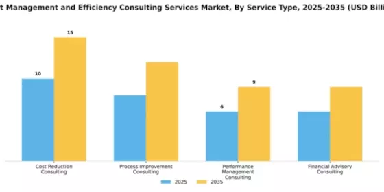 Cost Management and Efficiency Consulting Services Market Segment Image 4