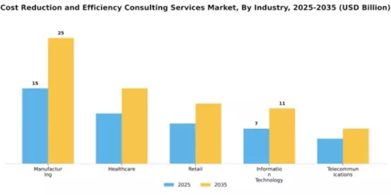 Cost Reduction and Efficiency Consulting Services Market Segment Image 3