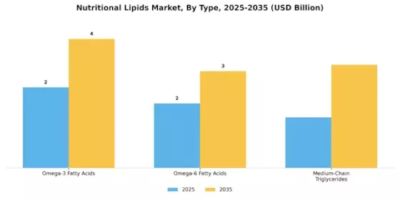 Nutritional Lipids Market Segment Image 3