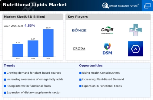 Nutritional Lipids Market Infographic
