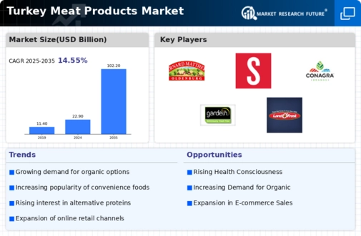Turkey Meat Products Market Infographic