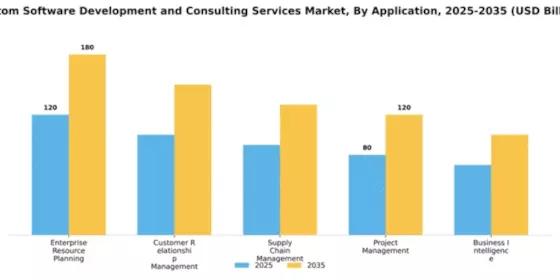 Custom Software Development and Consulting Services Market Segment Image 0