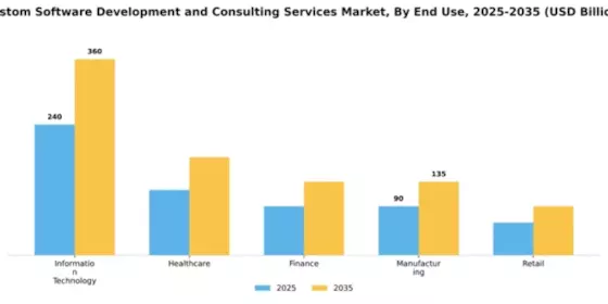 Custom Software Development and Consulting Services Market Segment Image 2