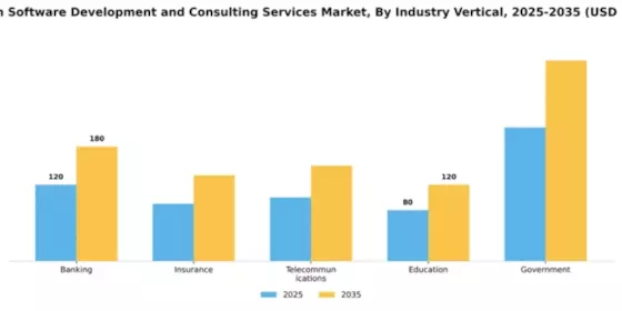 Custom Software Development and Consulting Services Market Segment Image 3