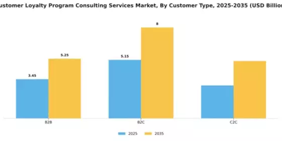 Customer Loyalty Program Consulting Services Market Segment Image 2