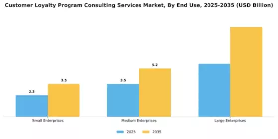 Customer Loyalty Program Consulting Services Market Segment Image 3