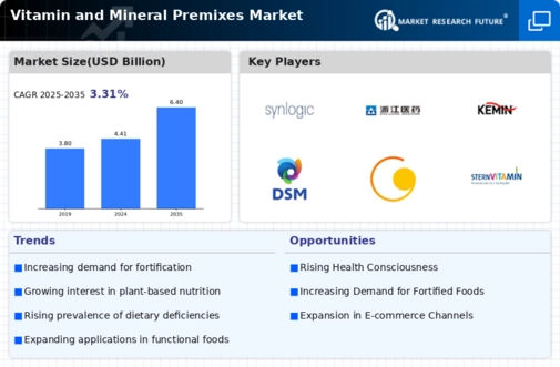 Vitamin and Mineral Premixes Market Infographic