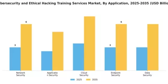 Cybersecurity and Ethical Hacking Training Services Market Segment Image 0