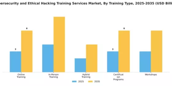 Cybersecurity and Ethical Hacking Training Services Market Segment Image 4