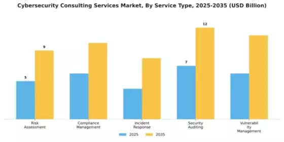 Cybersecurity Consulting Services Market Segment Image 4