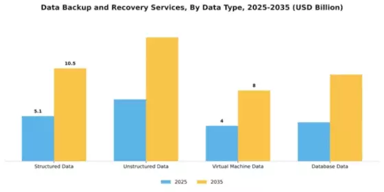 Data Backup and Recovery Services Market Segment Image 1