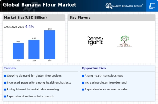 Banana Flour Market Infographic