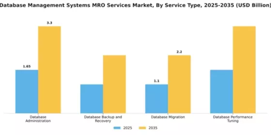 Database Management Systems MRO Services Market Segment Image 3
