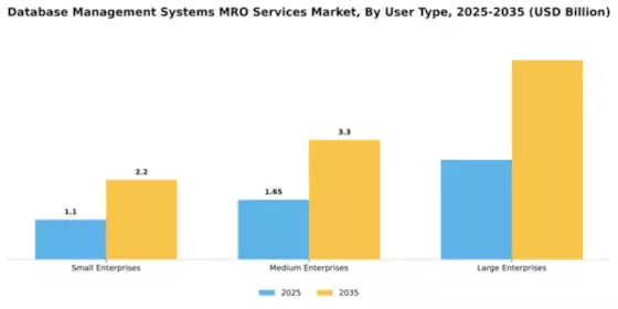 Database Management Systems MRO Services Market Segment Image 4