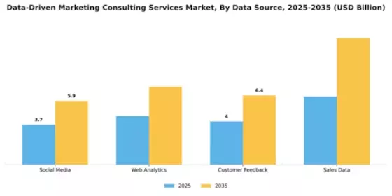 Data-Driven Marketing Consulting Services Market Segment Image 1