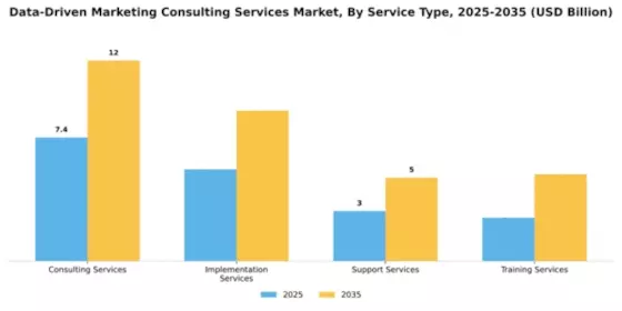 Data-Driven Marketing Consulting Services Market Segment Image 4