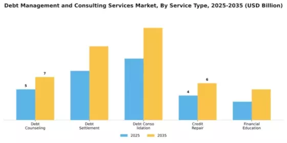 Debt Management and Consulting Services Market Segment Image 4