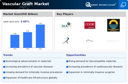 Vascular Graft Market Infographic