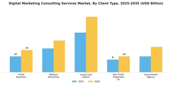 Digital Marketing Consulting Services Market Segment Image 0