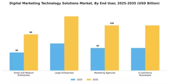 Digital Marketing Technology Solutions Market Segment Image 2