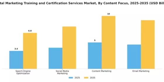 Digital Marketing Training and Certification Services Market Segment Image 1