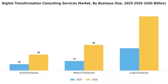 Digital Transformation Consulting Services Market Segment Image 1