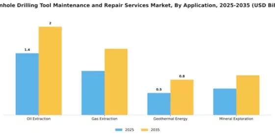Downhole Drilling Tool Maintenance and Repair Services Market Segment Image 0