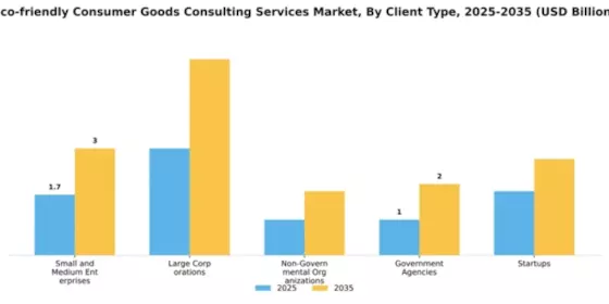 Eco-friendly Consumer Goods Consulting Services Market Segment Image 1