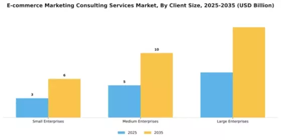E-commerce Marketing Consulting Services Market Segment Image 0