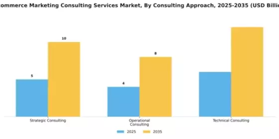E-commerce Marketing Consulting Services Market Segment Image 1
