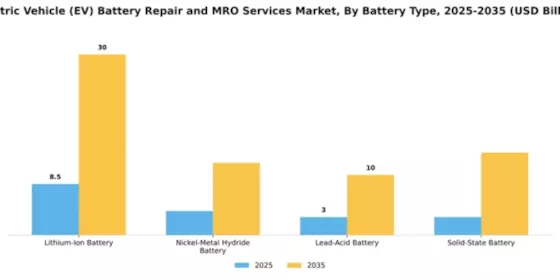 Electric Vehicle (EV) Battery Repair and MRO Services Market Segment Image 1