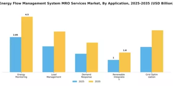 Energy Flow Management System MRO Services Market Segment Image 0