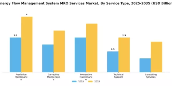 Energy Flow Management System MRO Services Market Segment Image 2