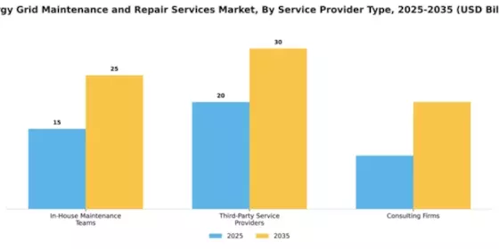 Energy Grid Maintenance and Repair Services Market Segment Image 1