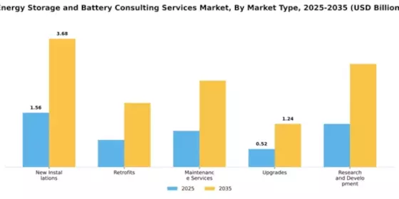Energy Storage and Battery Consulting Services Market Segment Image 2