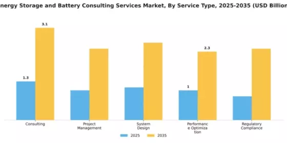 Energy Storage and Battery Consulting Services Market Segment Image 3