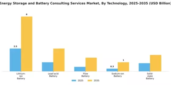 Energy Storage and Battery Consulting Services Market Segment Image 4