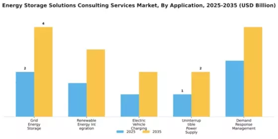 Energy Storage Solutions Consulting Services Market Segment Image 0