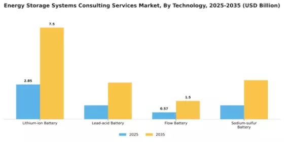 Energy Storage Systems Consulting Services Market Segment Image 4