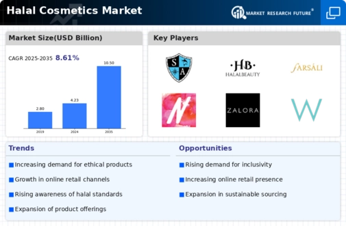 Halal Cosmetics Market Infographic