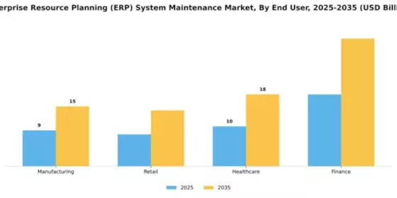 Enterprise Resource Planning (ERP) System Maintenance Market Segment Image 2