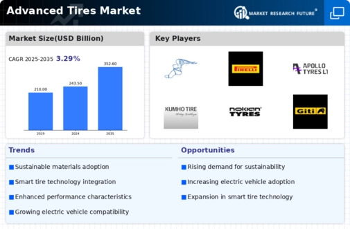 Advanced Tires Market Infographic