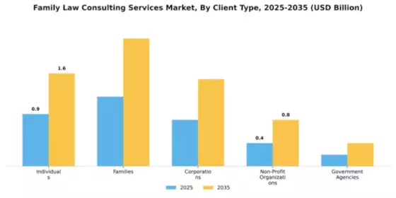 Family Law Consulting Services Market Segment Image 1