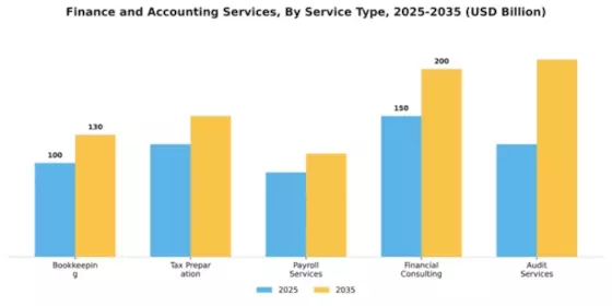 Finance and Accounting Services Market Segment Image 3